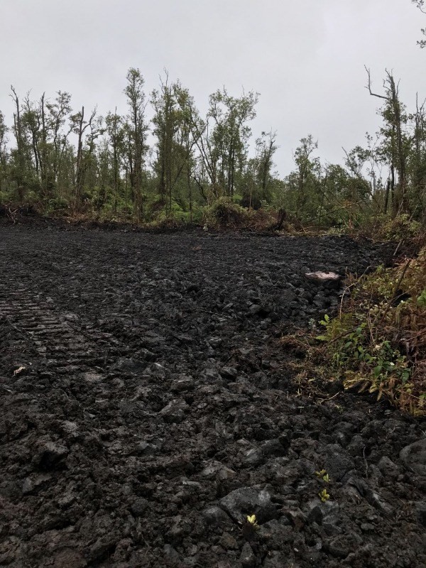 24 Ohialani Road Mountain View, HI 96771 - Photo 4 of 9