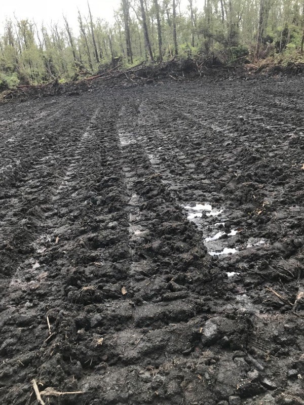 24 Ohialani Road Mountain View, HI 96771 - Photo 6 of 9