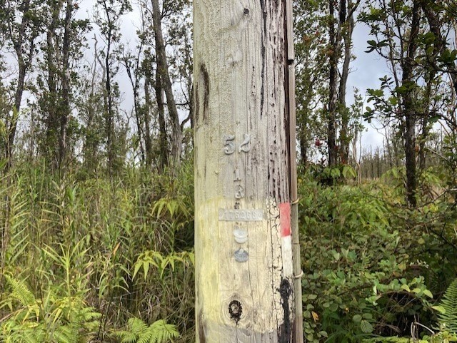 24 Ohialani Road Mountain View, HI 96771 - Photo 9 of 9