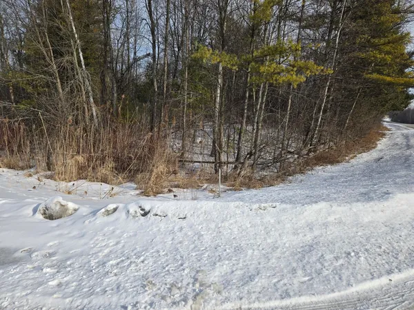 $295,000 | Riverdale Drive, Unit 2 & 3, Oneida, WI 54155