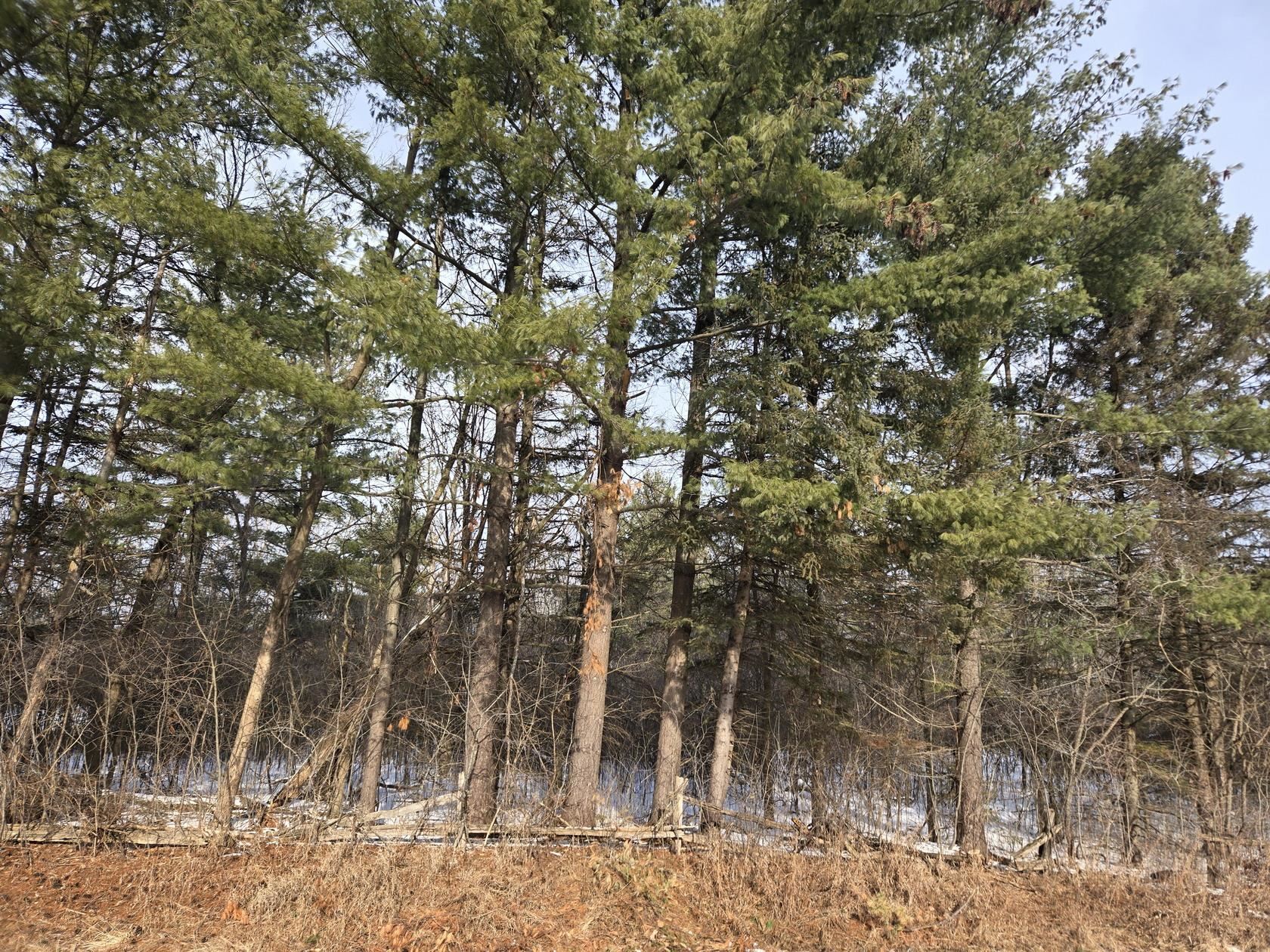 Riverdale Drive, Unit 2 & 3 Oneida, WI 54155 - Photo 5 of 17