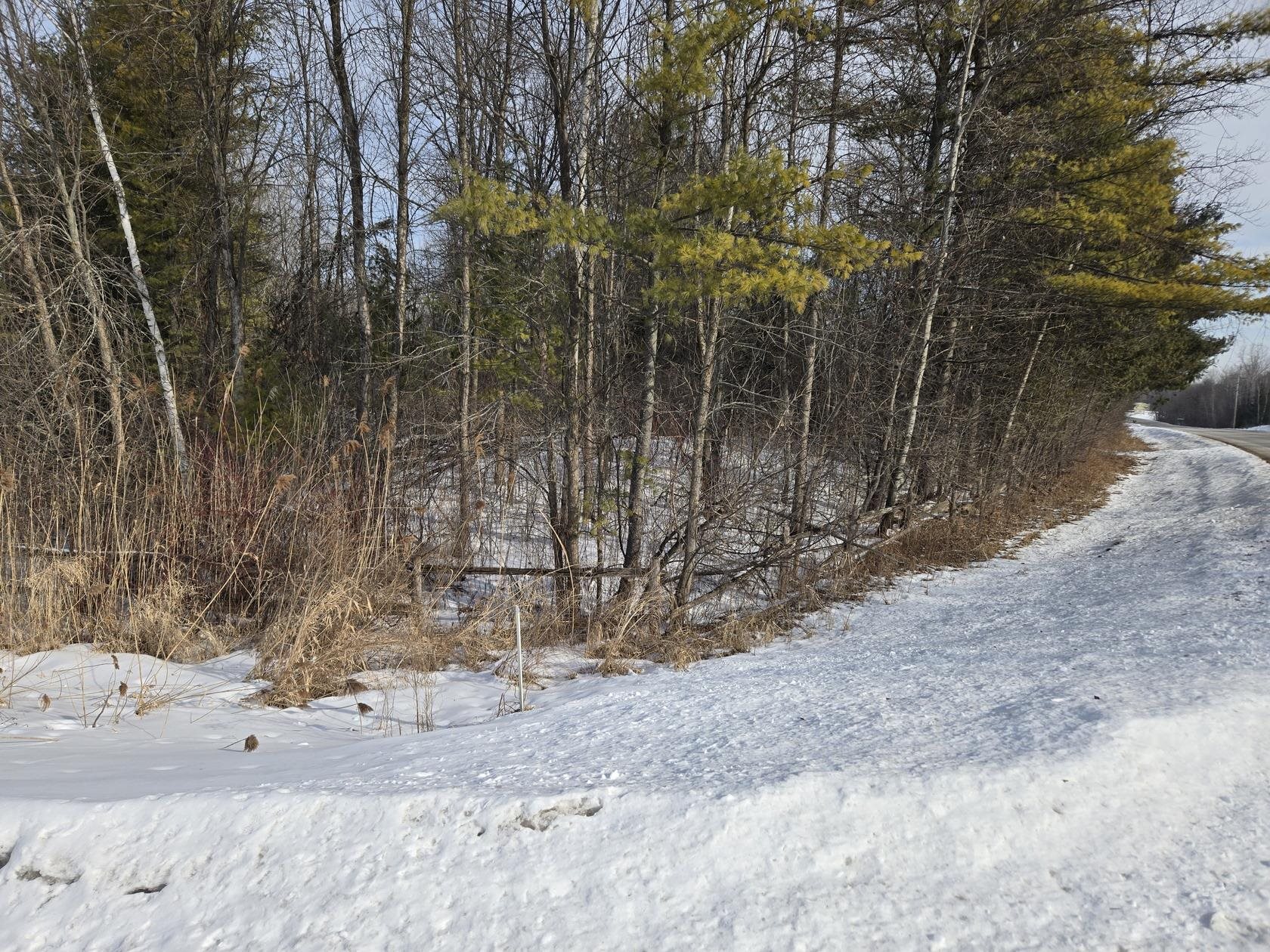 Riverdale Drive, Unit 2 & 3 Oneida, WI 54155 - Photo 7 of 17