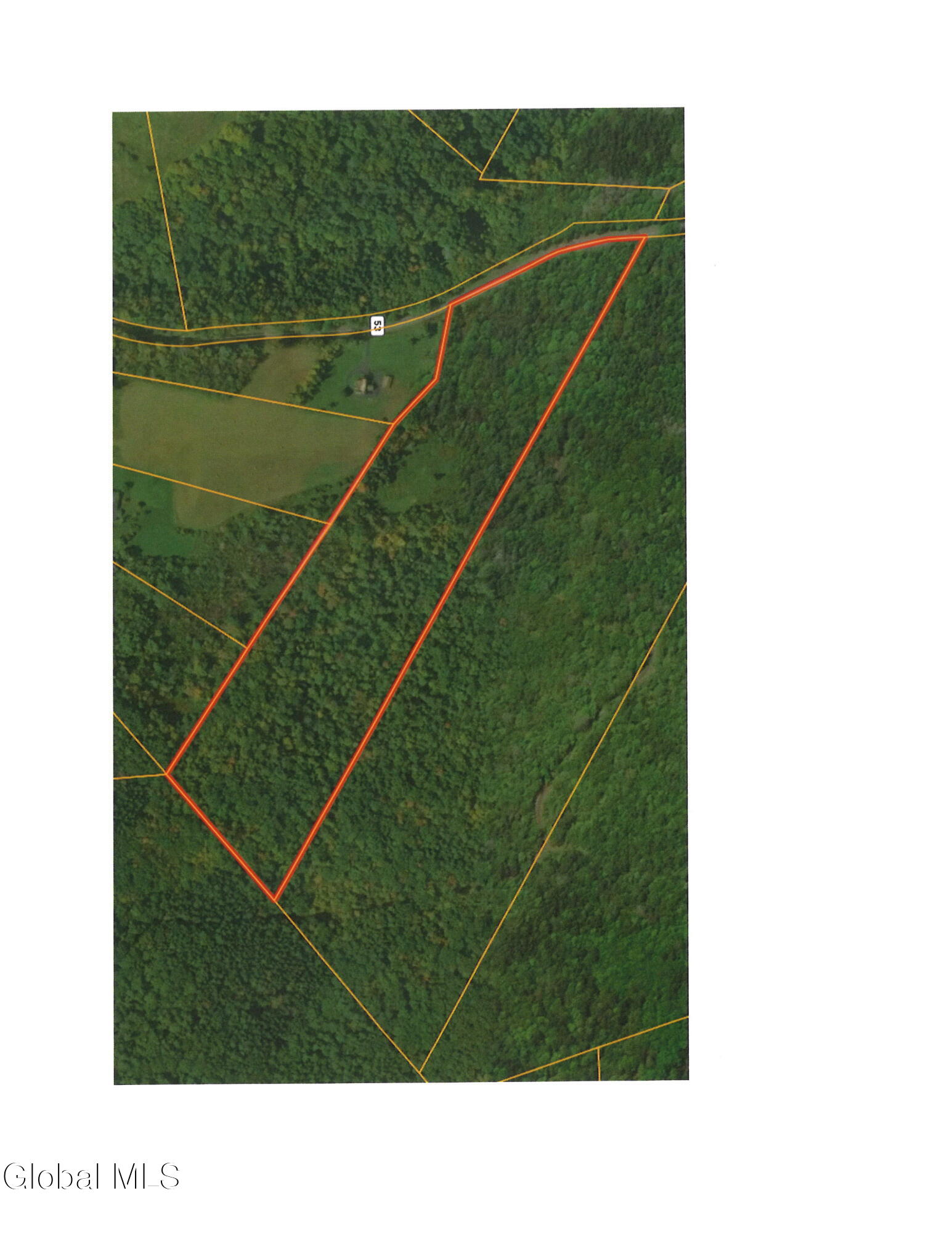 L6 Guinea Road Middleburgh, NY 12122 - Photo 10 of 10 20260708125331_00001
