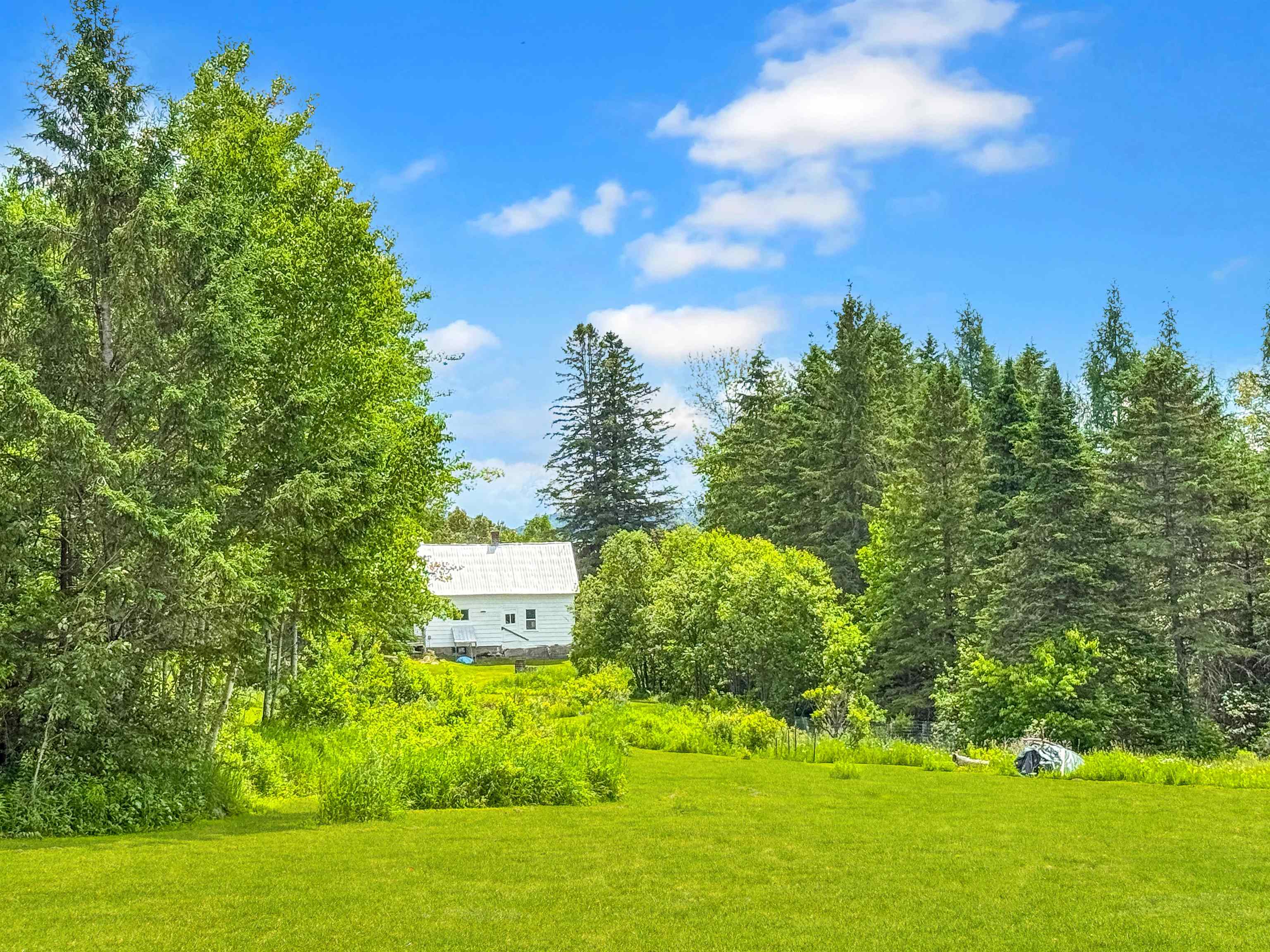 126 Gray Road Columbia, NH 03576 - Photo 46 of 59