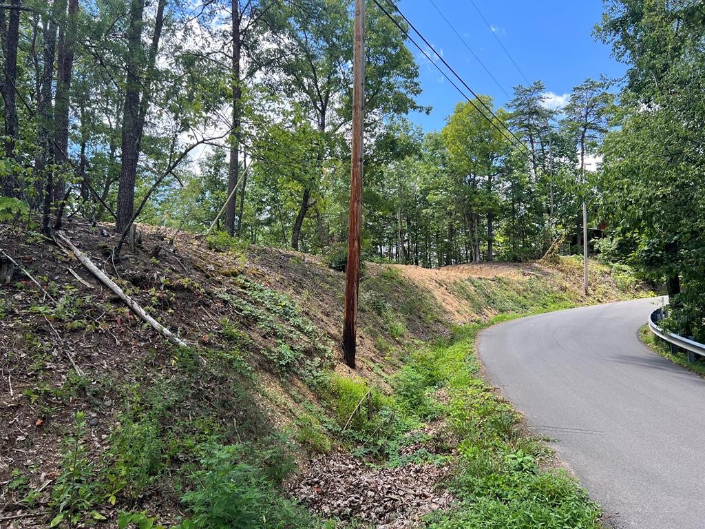 861 Lloyd Huskey Road Pigeon Forge, TN 37863 - Photo 2 of 9