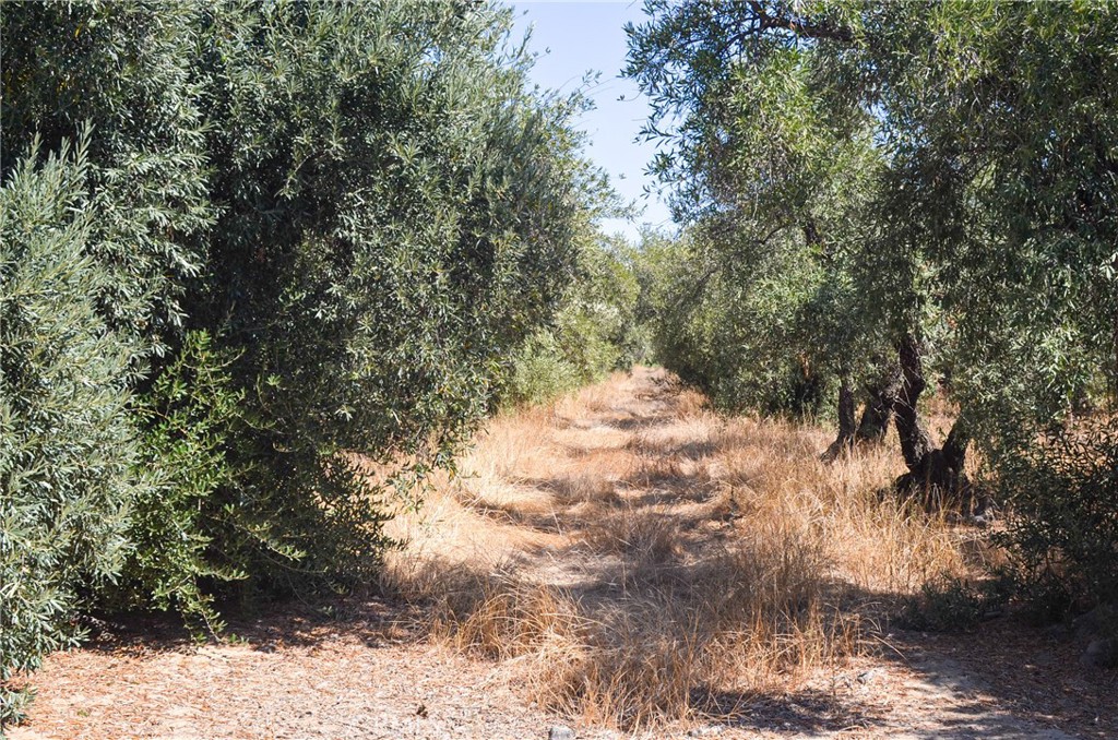 3665 Woodson Avenue Corning, CA 96021 - Photo 28 of 30 a view of snow
