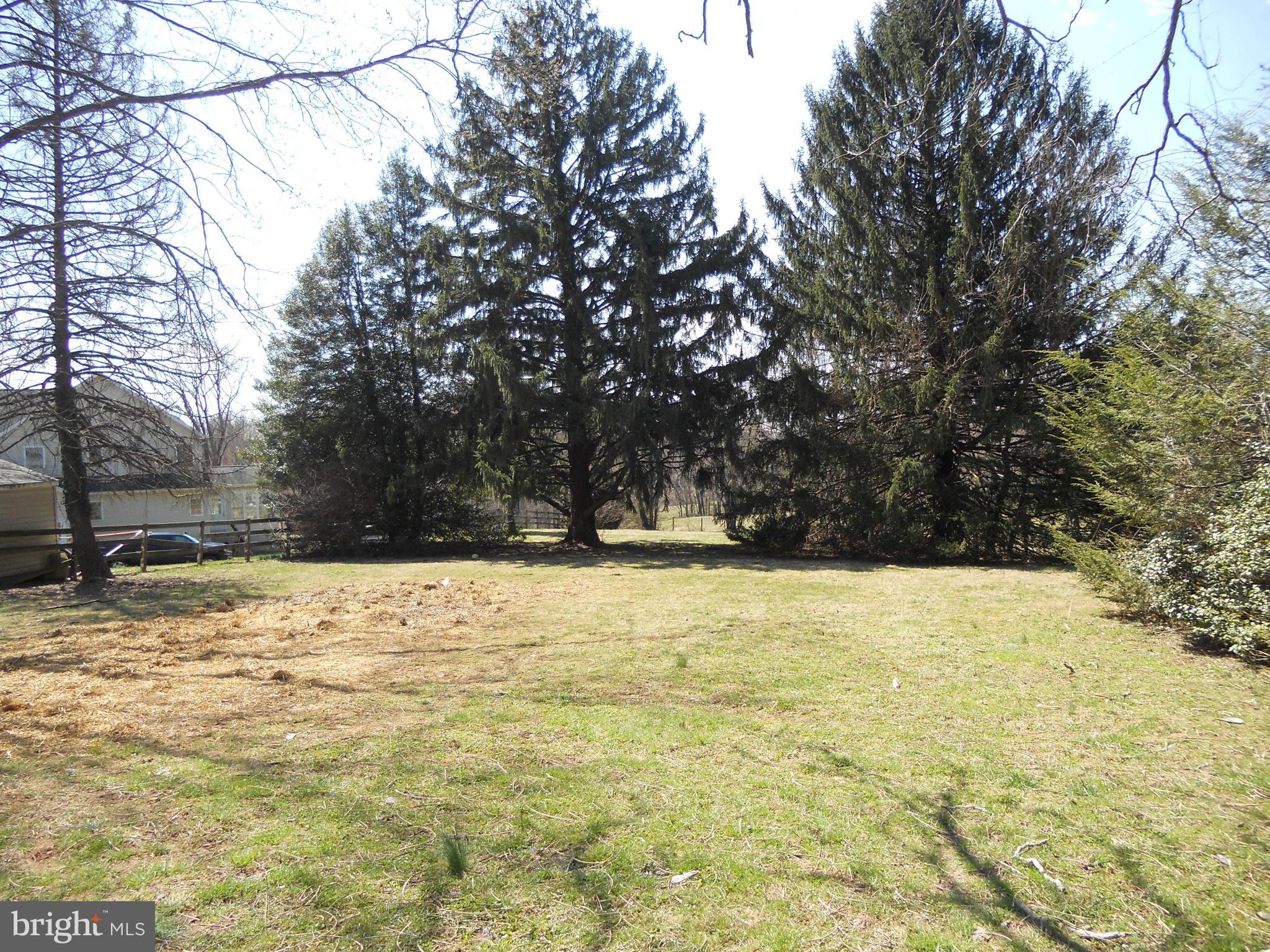 12912 Fork Road Baldwin, MD 21013 - Photo 4 of 6 Yard