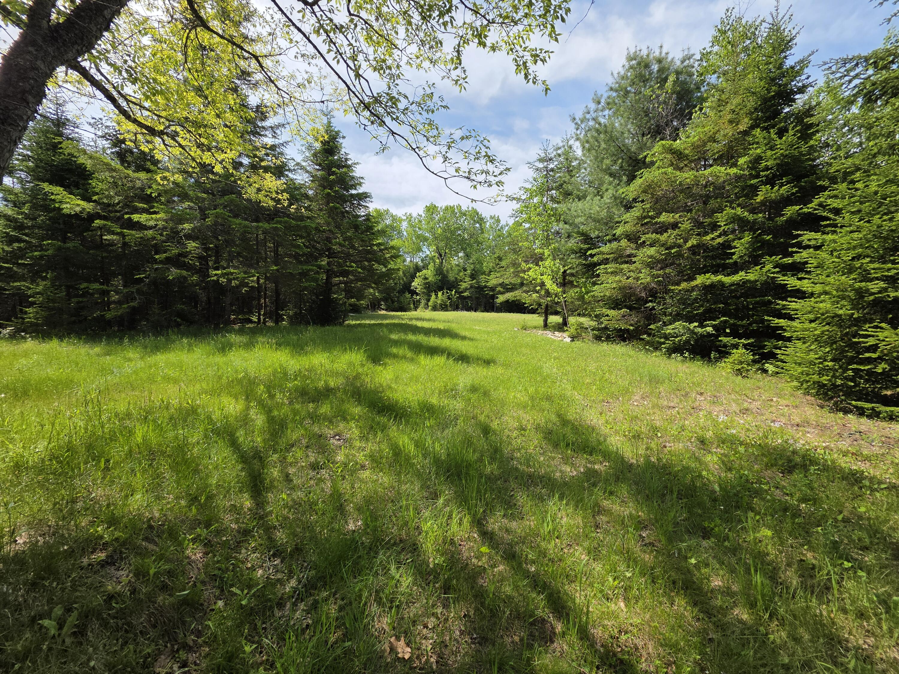 0 Morrison Road Bucksport, ME 04416 - Photo 9 of 16 20260527_100949