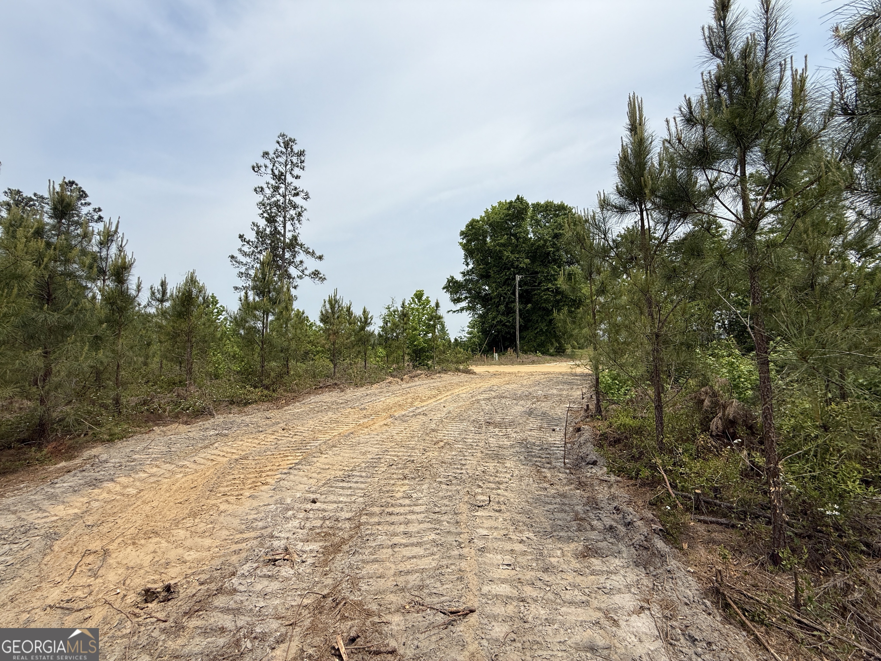13 Graham Lane Cadwell, GA 31009 - Photo 3 of 11 a view of dirt field with trees in the background