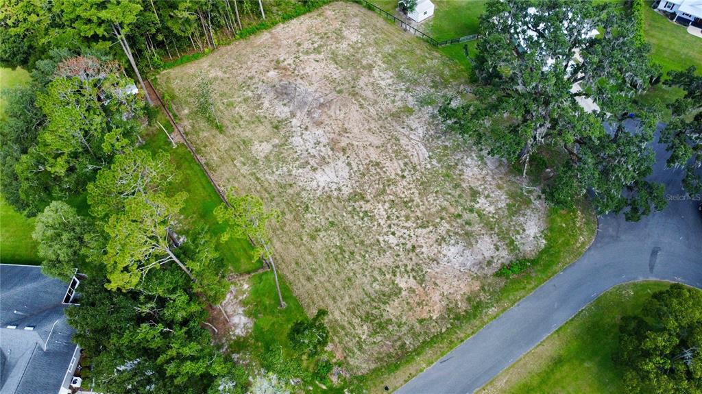 Tbd Southwest 9th Street Williston, FL 32696 - Photo 8 of 9 a view of a garden with plants and large trees