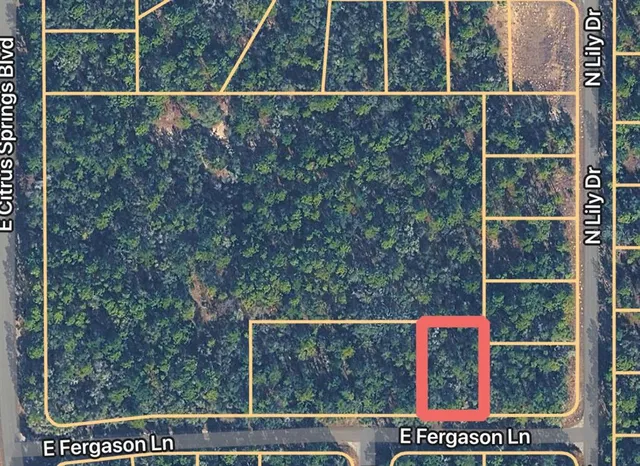 $18,000 | 1409 East Fergason Lane, Dunnellon, FL 34434