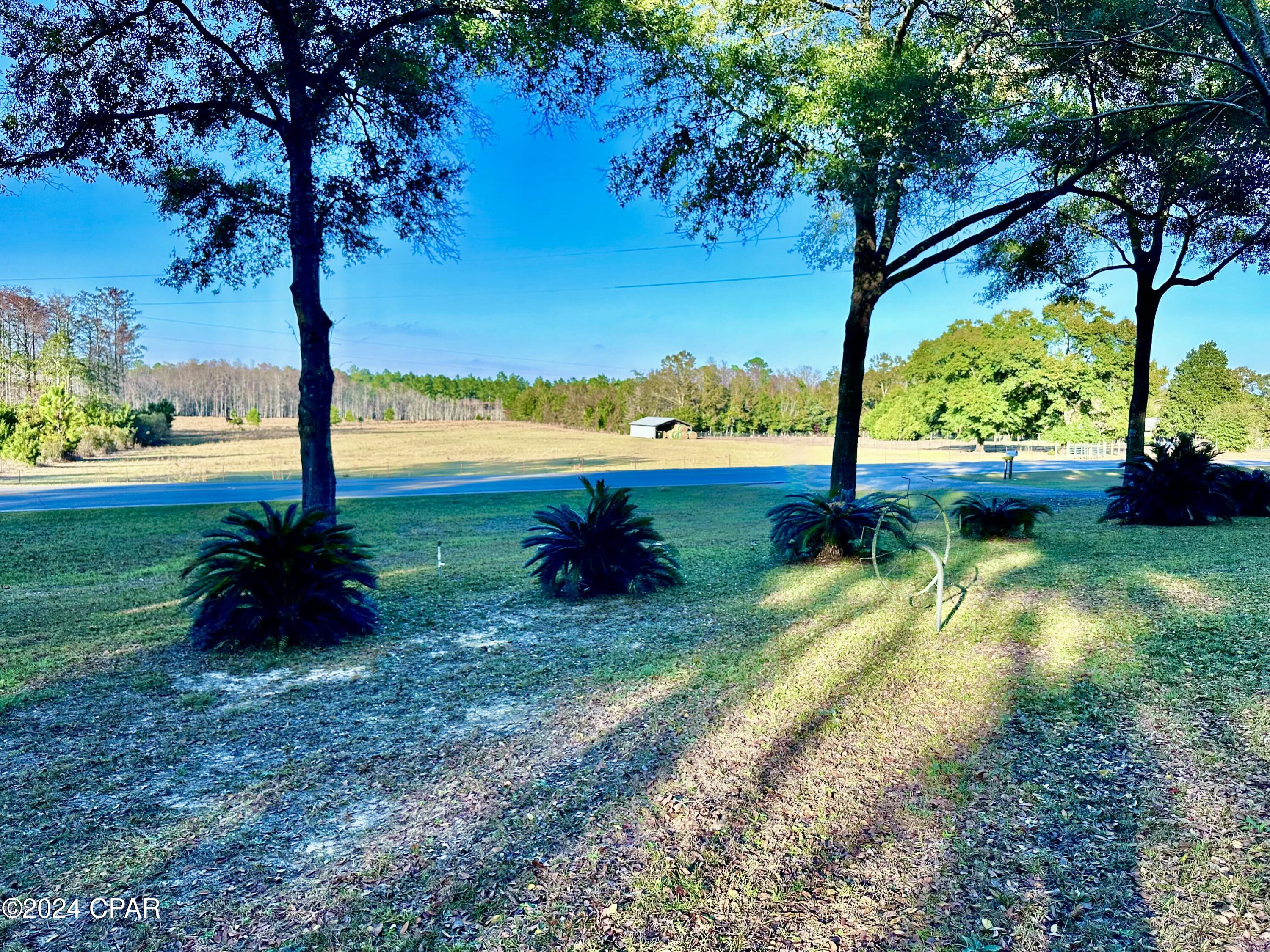 2359 Pioneer Road Chipley, FL 32428 - Photo 7 of 56
