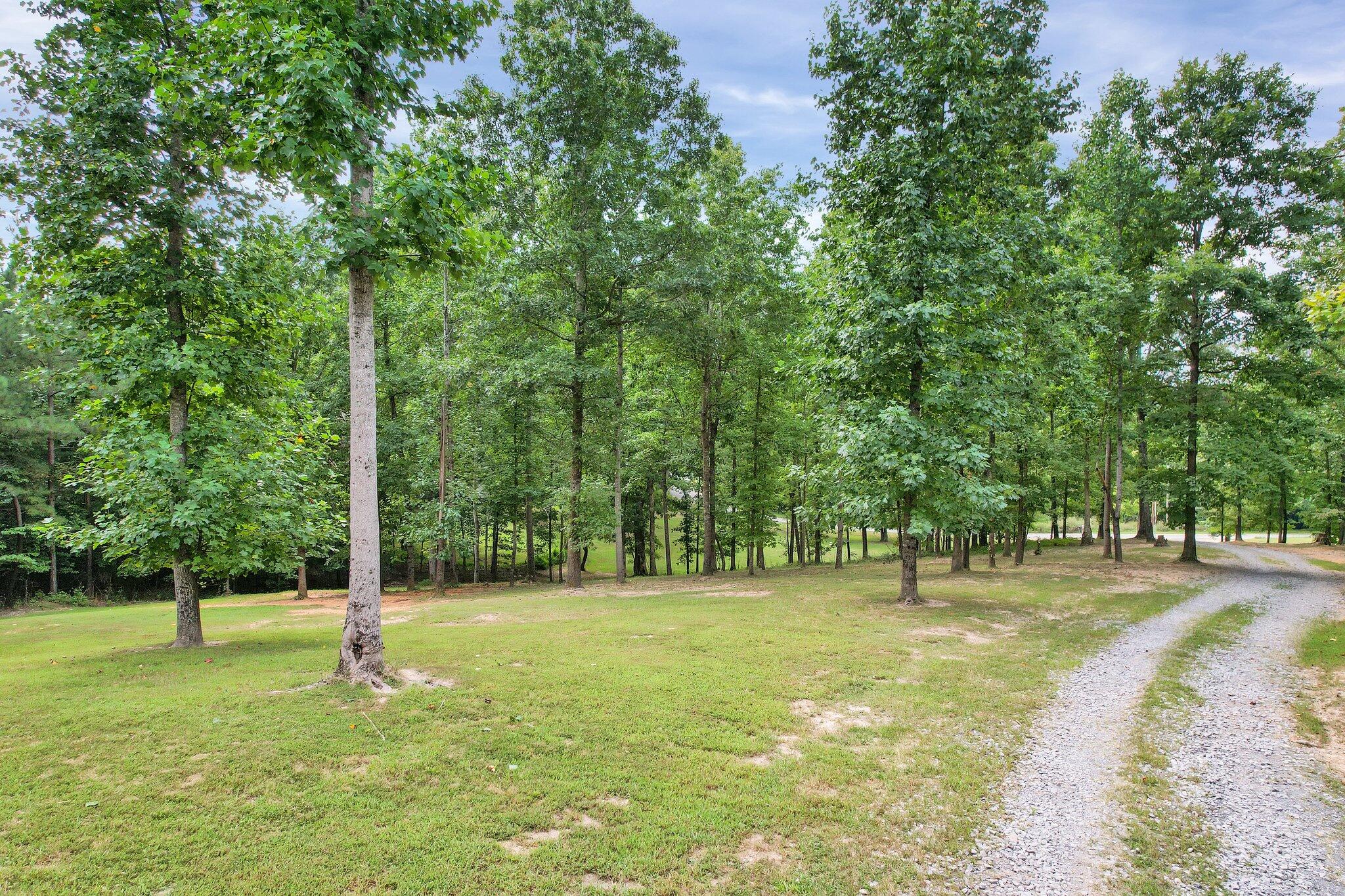 721 Rayl Hollow Road Decatur, TN 37322 - Photo 51 of 57 51