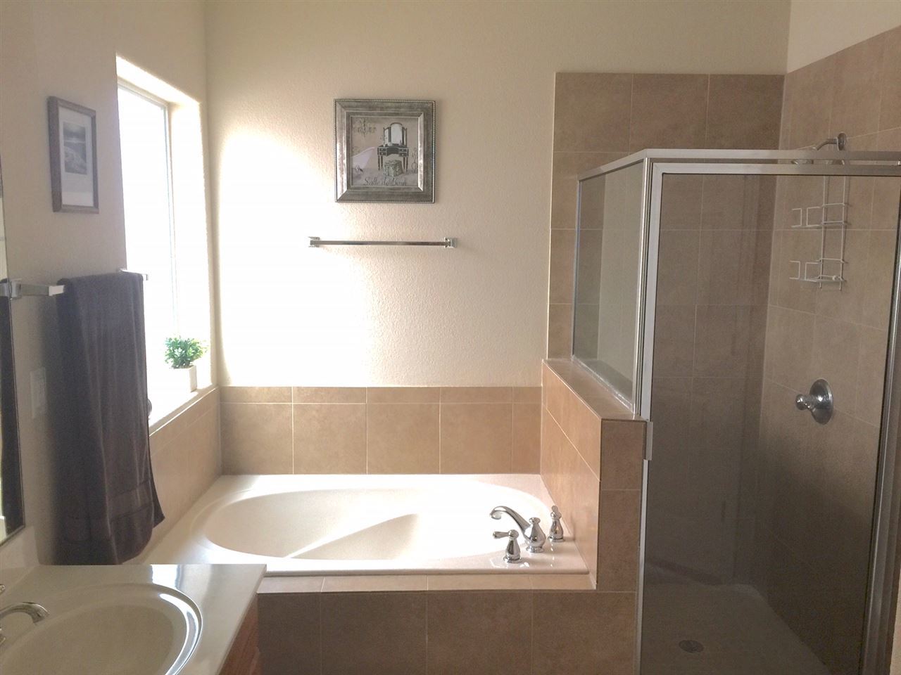 408 Kahlo Loop Laredo, TX 78045 - Photo 9 of 11 Gallery Image 9