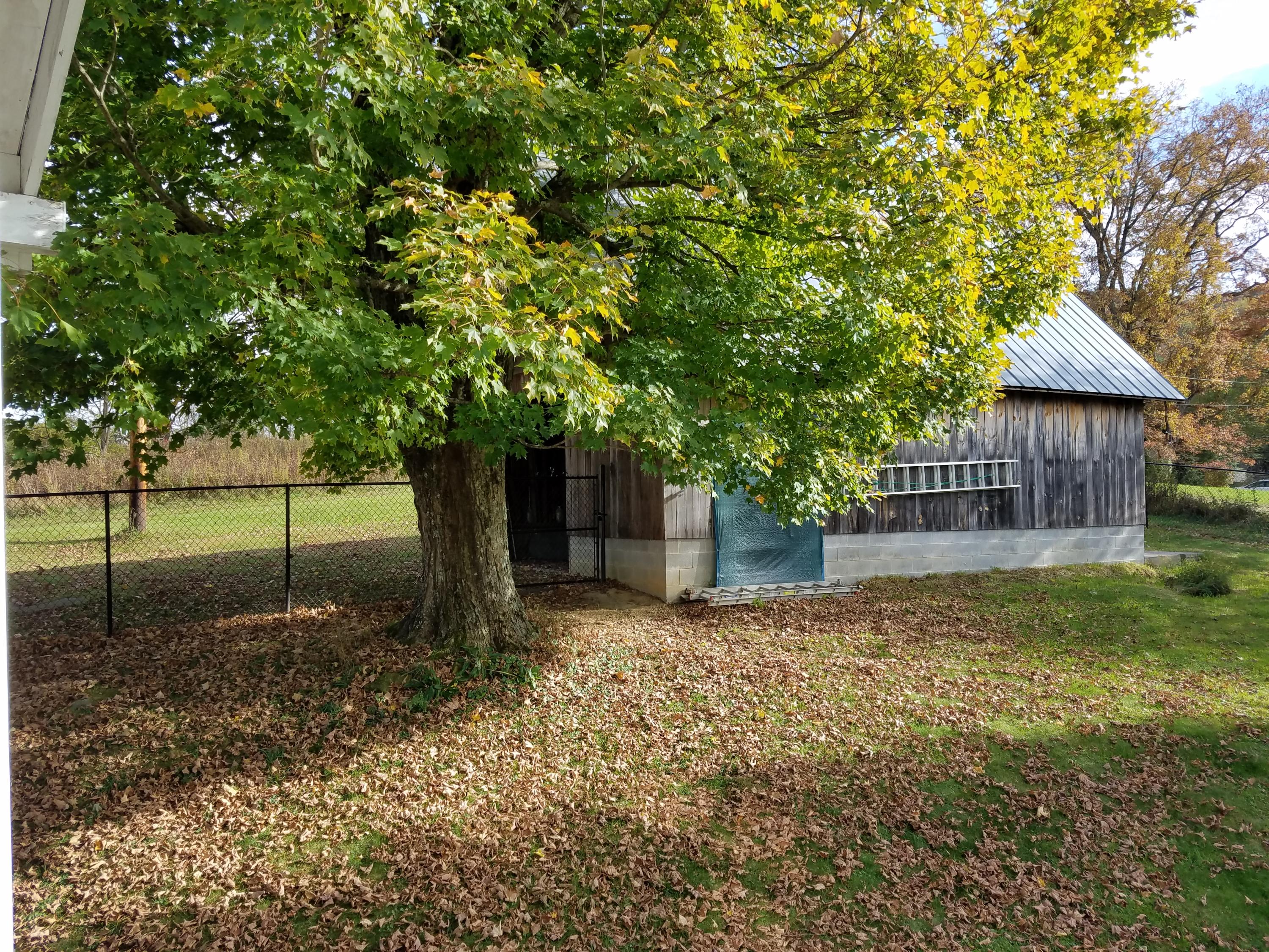 332 Springdale Road Meadow Bridge, WV 25976 - Photo 28 of 45 Gallery Image 28