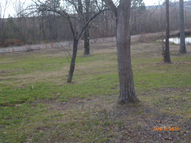14765 Highway 70 East Huntingdon, TN 38344 - Photo 7 of 11 a view of a trees in a yard