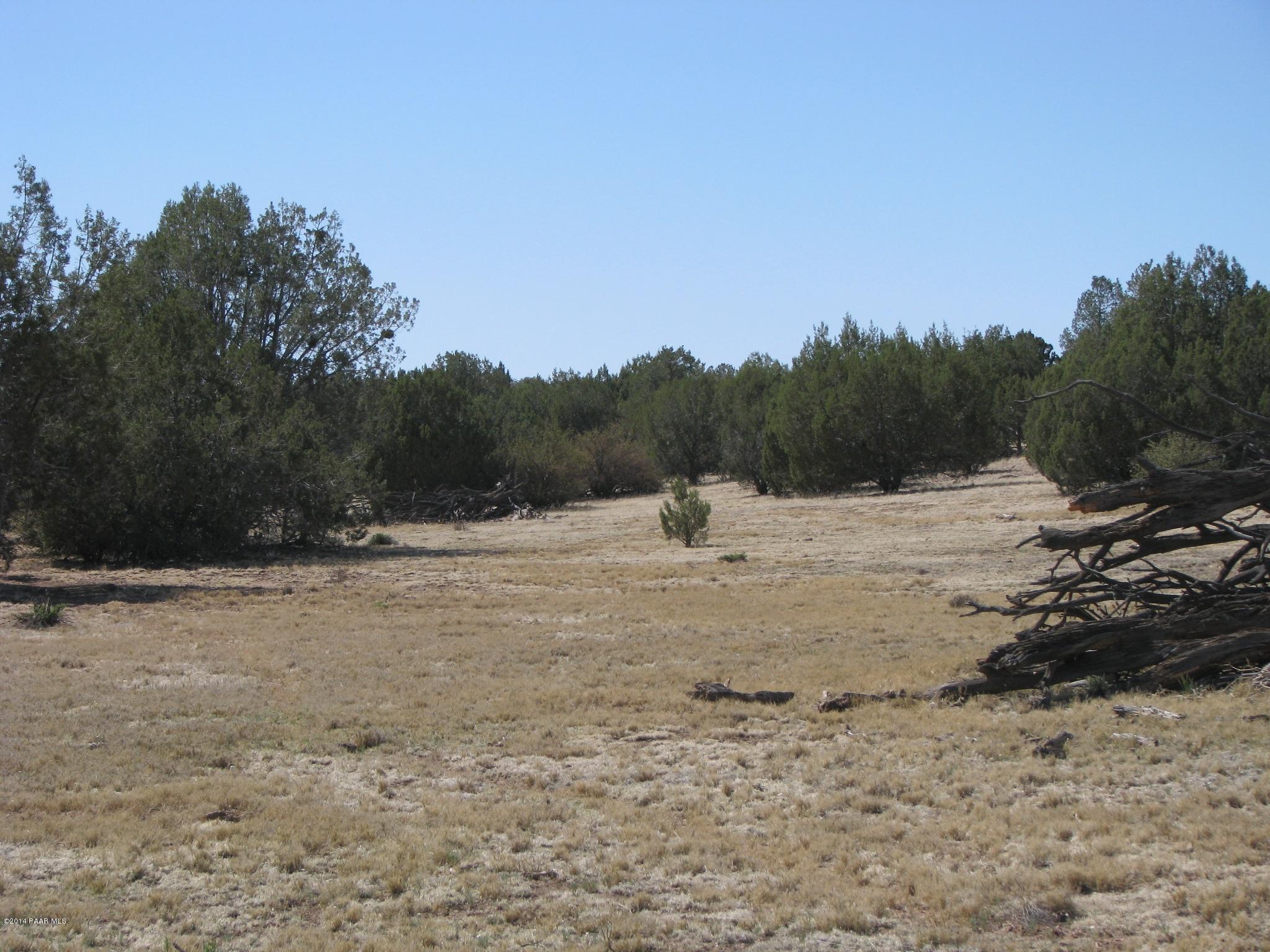 69 Bullock Road Ash Fork, AZ 86320 - Photo 13 of 19 IMG_0265