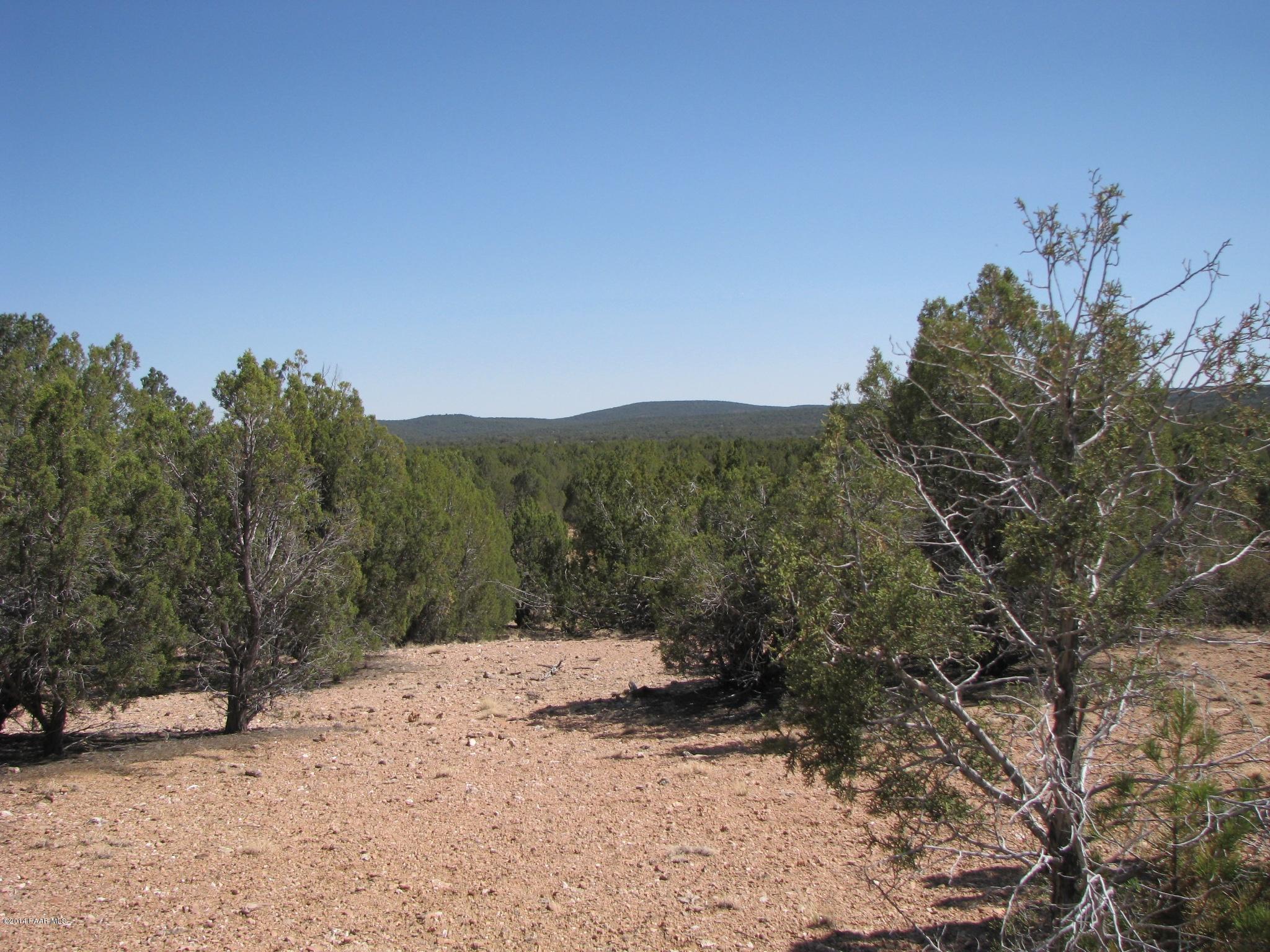 69 Bullock Road Ash Fork, AZ 86320 - Photo 16 of 19 IMG_0268