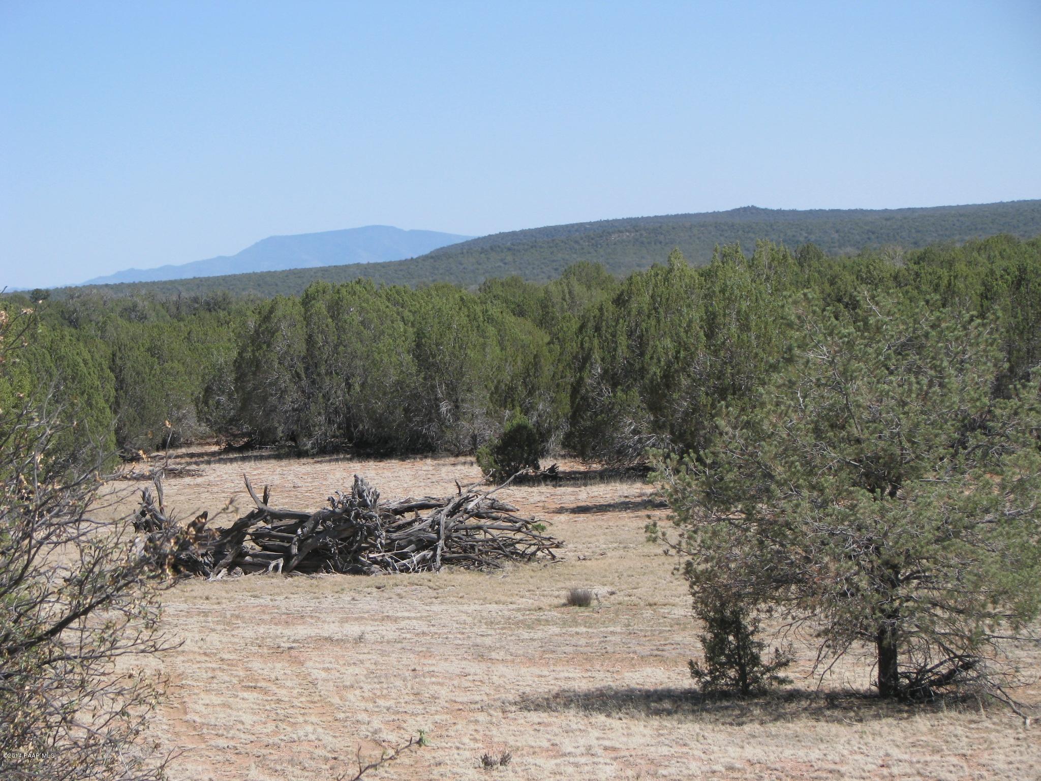 69 Bullock Road Ash Fork, AZ 86320 - Photo 18 of 19 IMG_0270