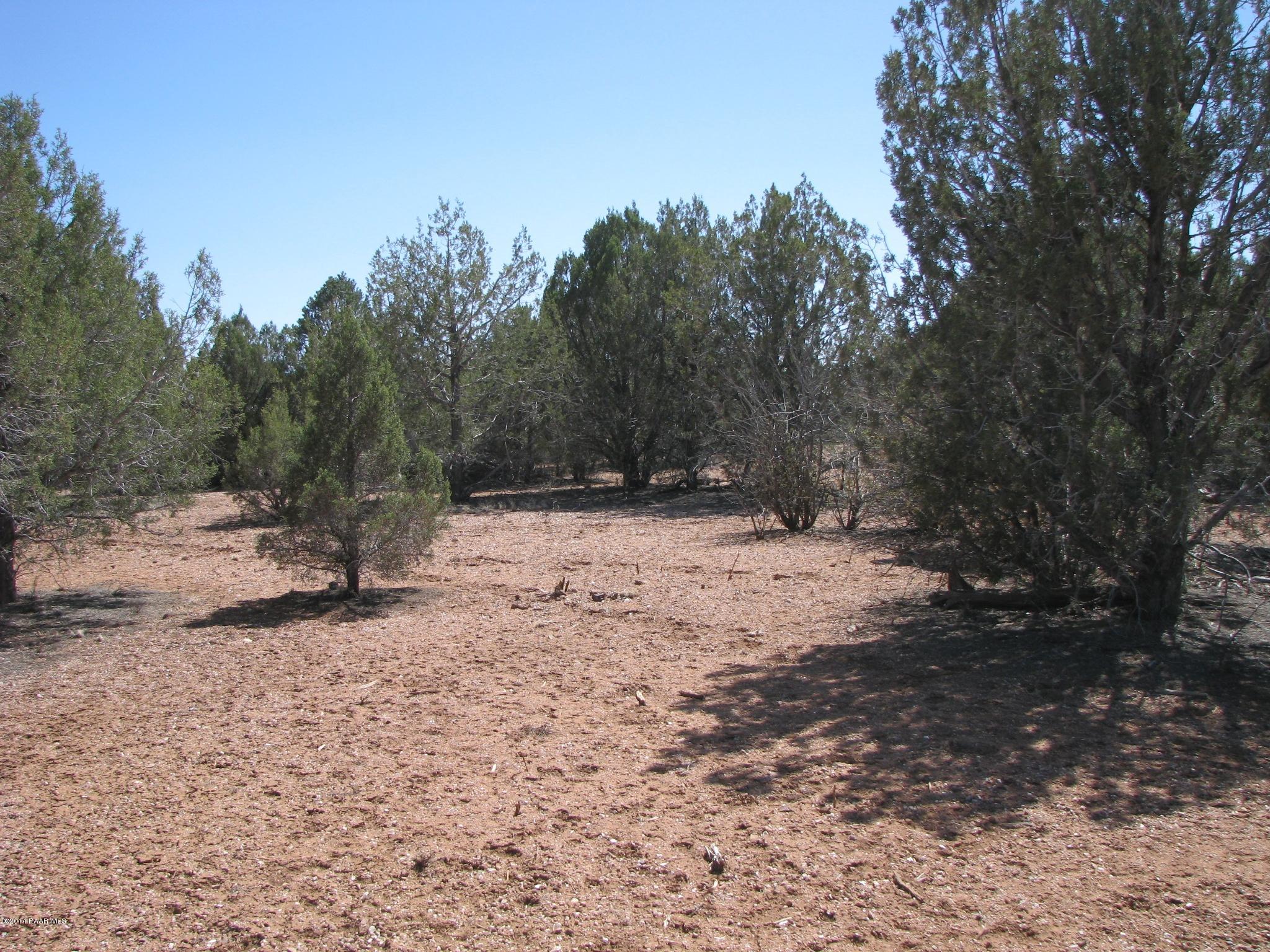 69 Bullock Road Ash Fork, AZ 86320 - Photo 3 of 19 IMG_0255