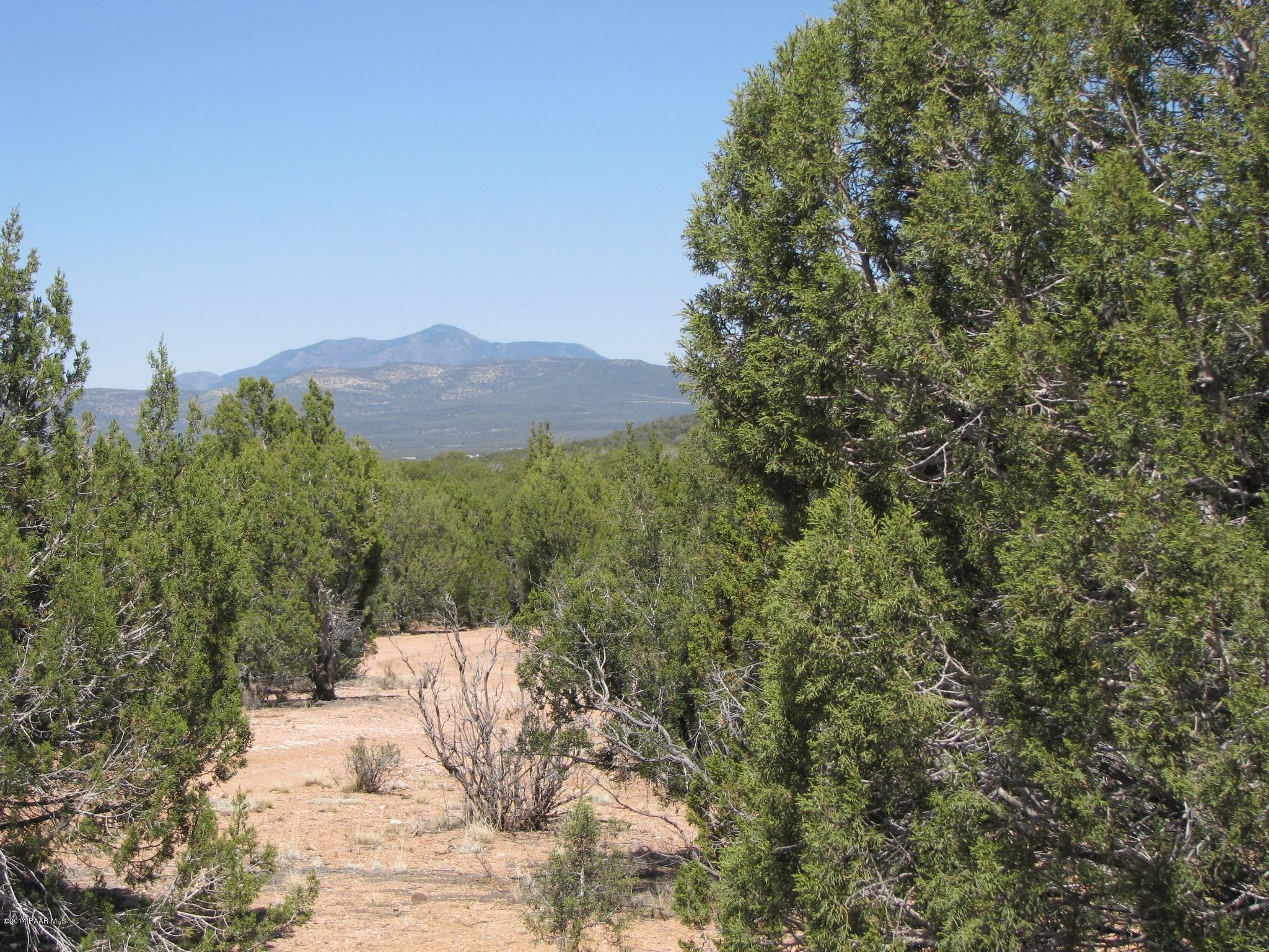 69 Bullock Road Ash Fork, AZ 86320 - Photo 4 of 19 IMG_0256