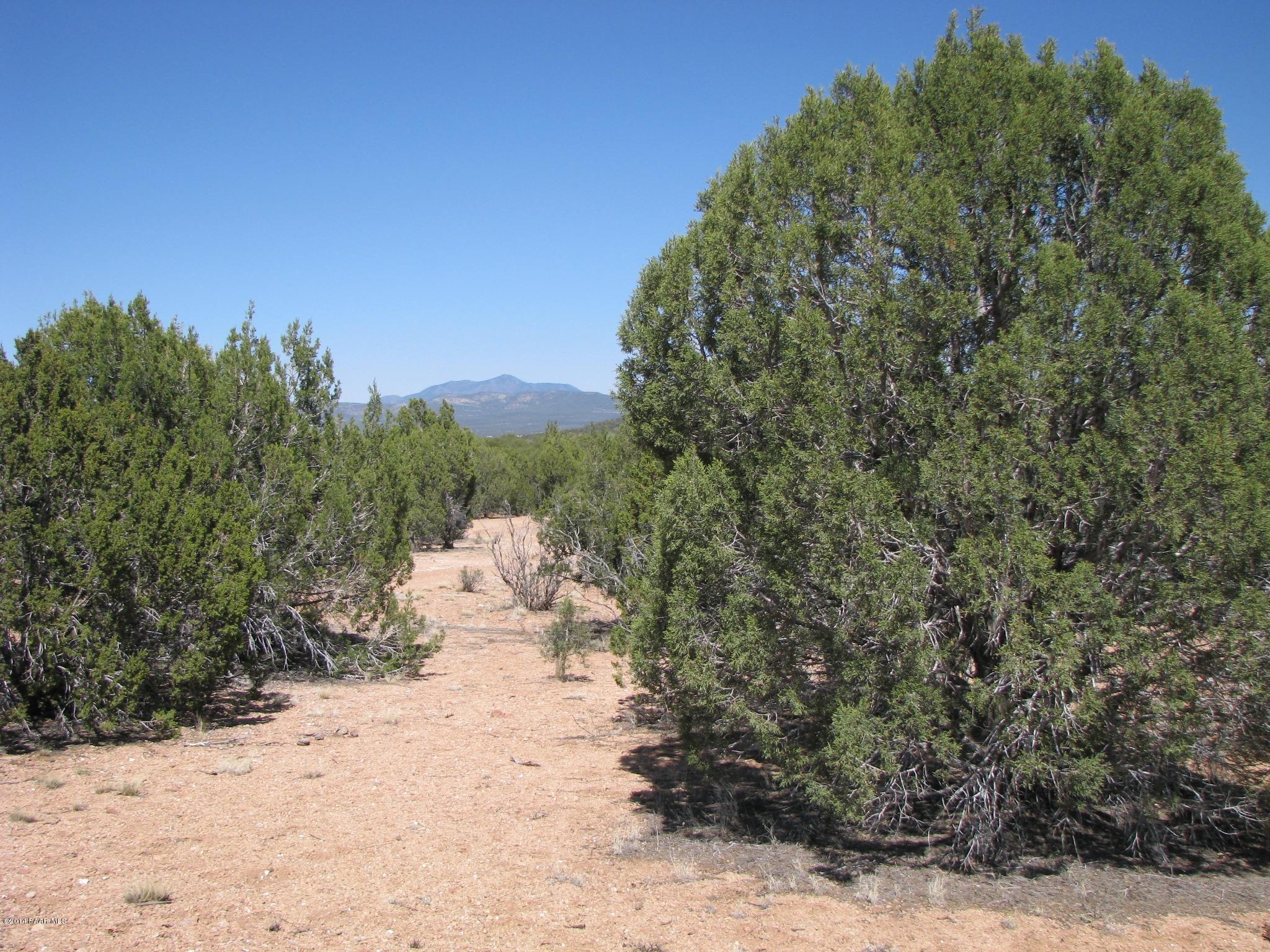 69 Bullock Road Ash Fork, AZ 86320 - Photo 5 of 19 IMG_0257