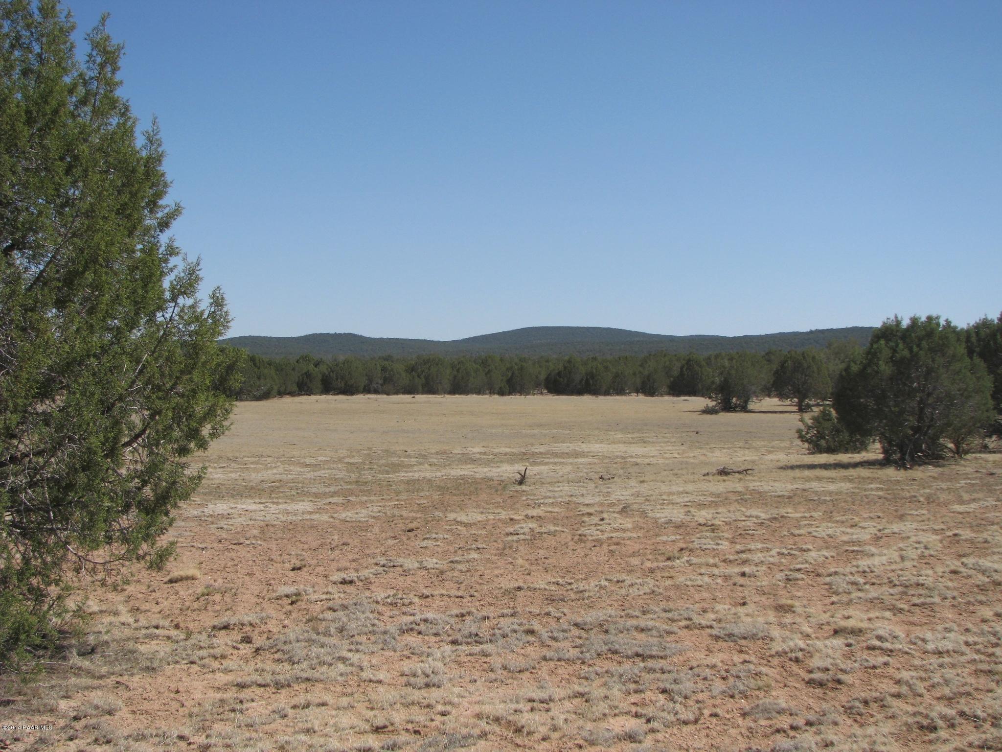 69 Bullock Road Ash Fork, AZ 86320 - Photo 8 of 19 IMG_0260