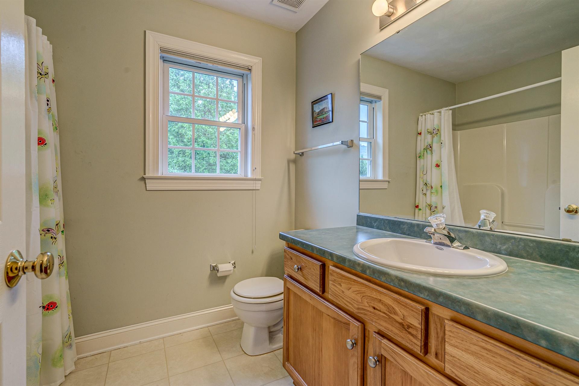 1412 Fieldgate Road Salem, VA 24153 - Photo 22 of 43 22-1412 Fieldgate 022