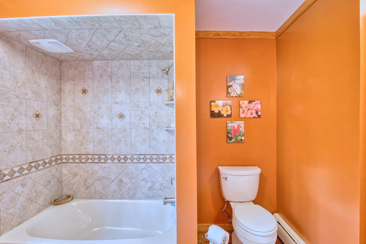 9220 Biss Road Britt, MN 55710 - Photo 19 of 50 Full bath with toilet and baseboard heating