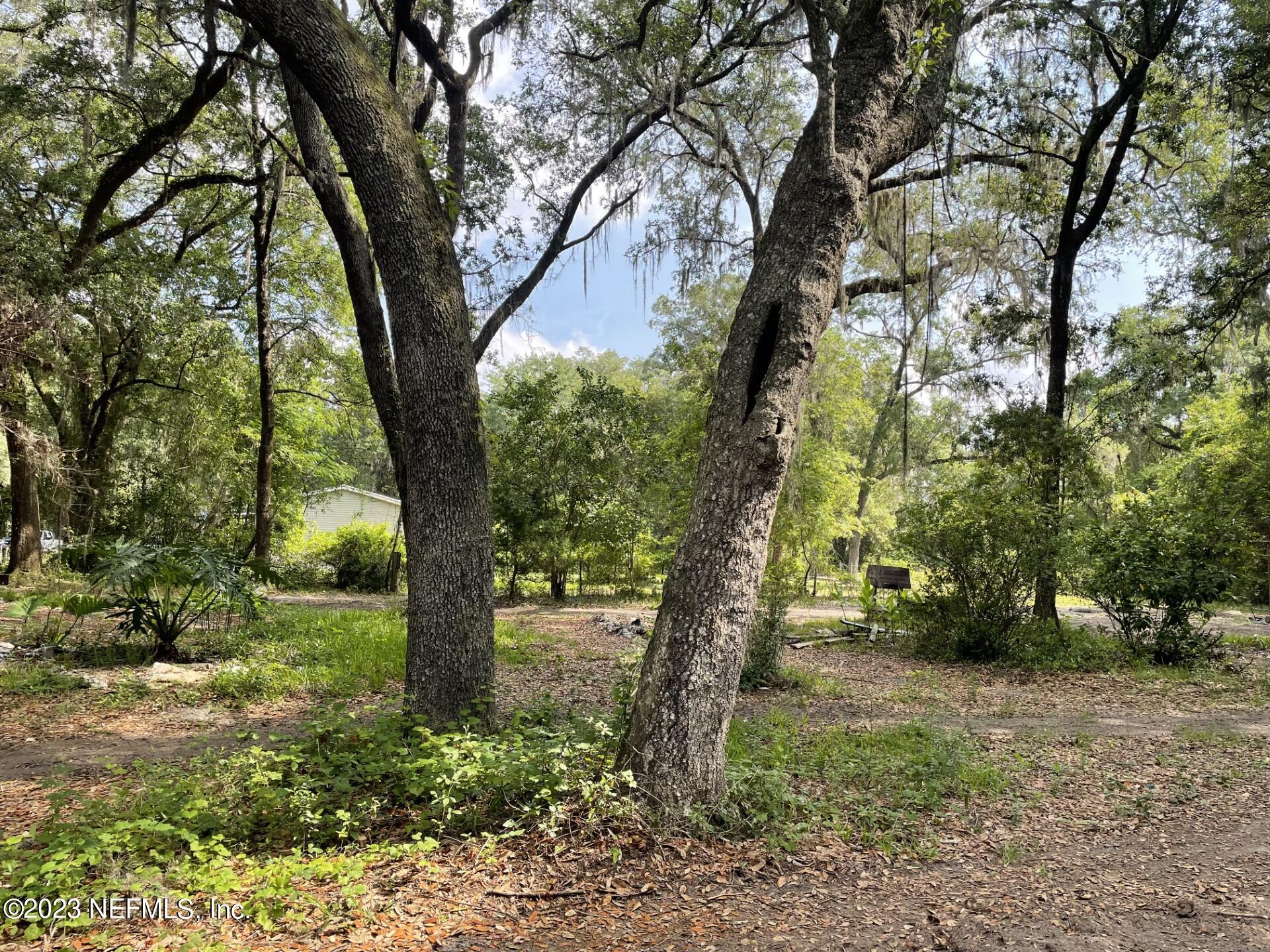 158 Homestead Road Palatka, FL 32177 - Photo 1 of 5 Property
