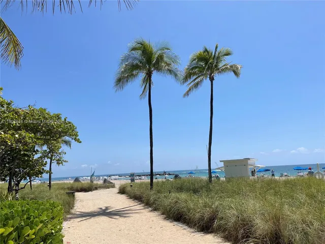 a view of a palm tree with ocean view