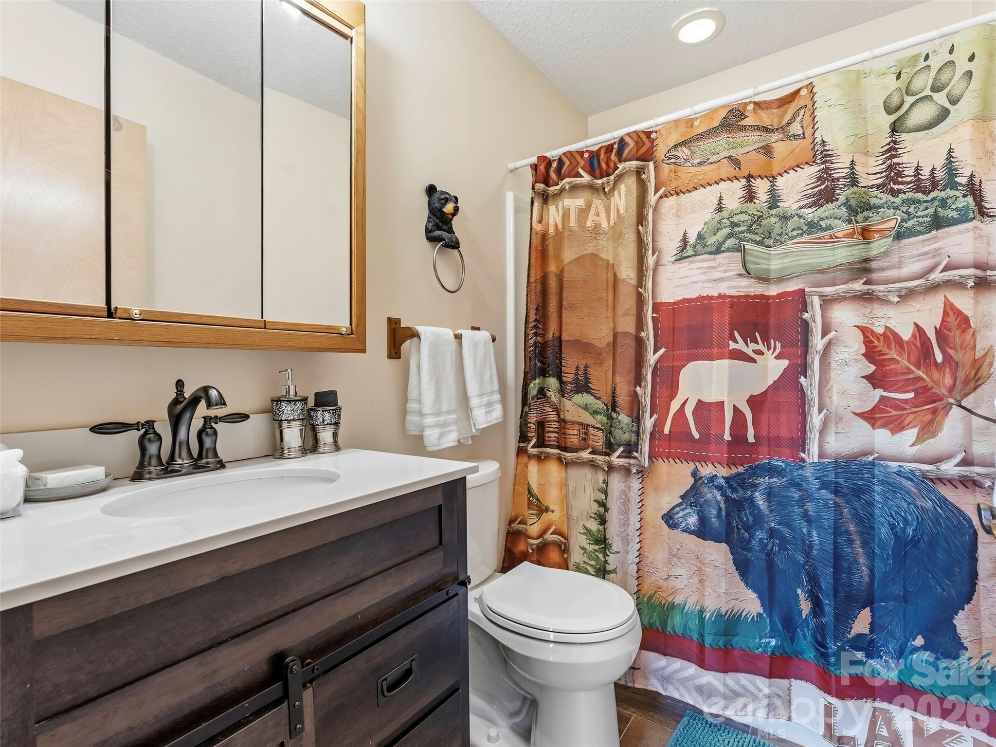 101 Ruffed Grouse Road Brevard, NC 28712 - Photo 25 of 38 a bathroom with a sink mirror vanity and toilet