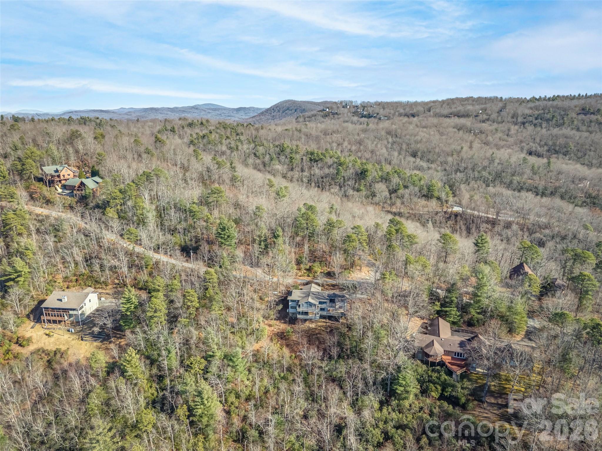 101 Ruffed Grouse Road Brevard, NC 28712 - Photo 5 of 38 a view of a city
