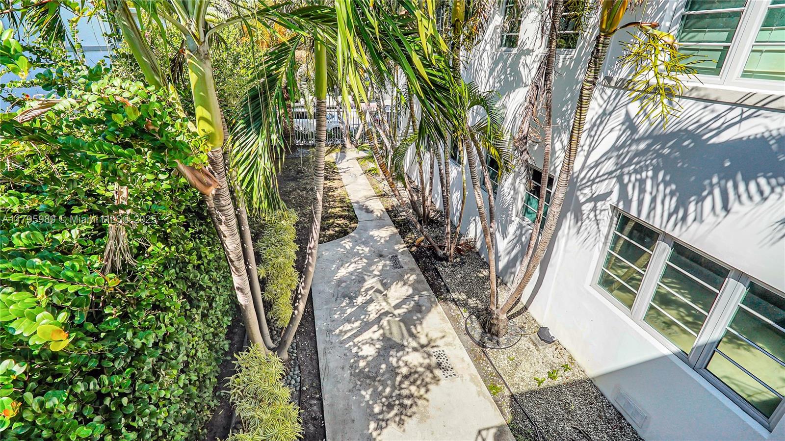 Flamingo-Lummus Miami Beach, FL 33139 - Photo 43 of 63 a view of a yard with plants