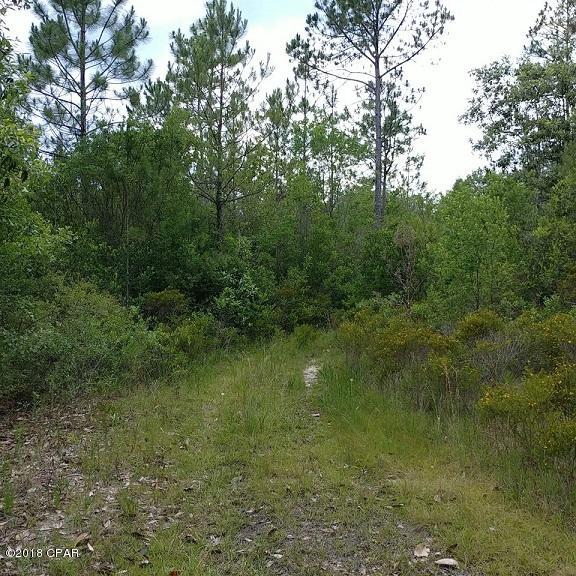 0 John White Road DeFuniak Springs, FL 32435 - Photo 1 of 11 Gallery Image 1