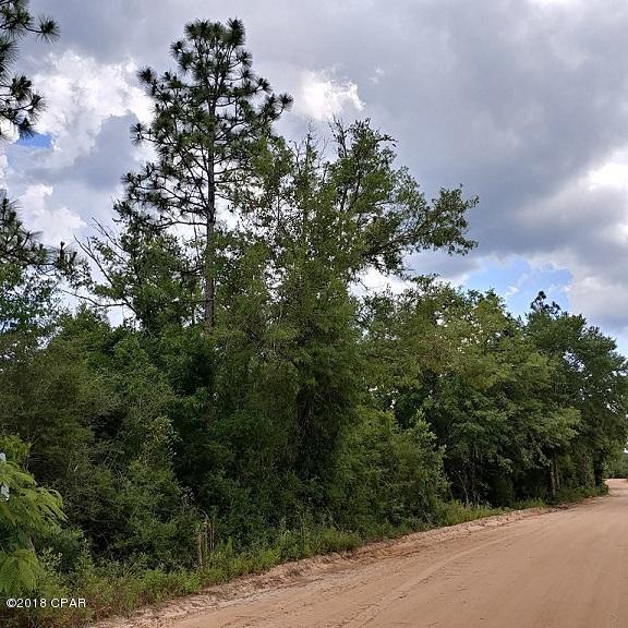 0 John White Road DeFuniak Springs, FL 32435 - Photo 4 of 11 Gallery Image 4