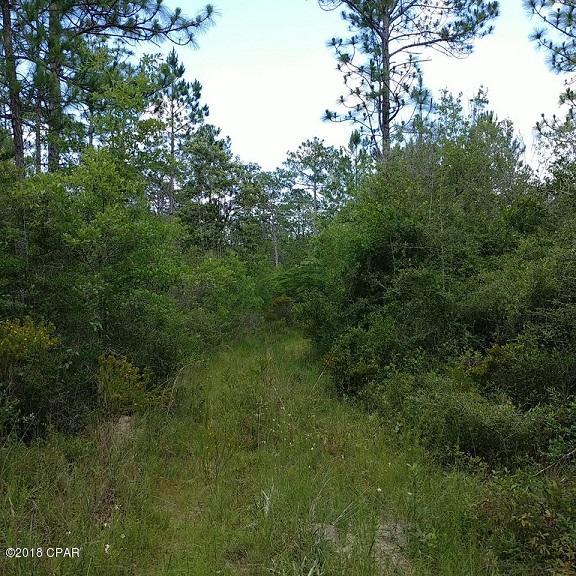 0 John White Road DeFuniak Springs, FL 32435 - Photo 6 of 11 Gallery Image 6