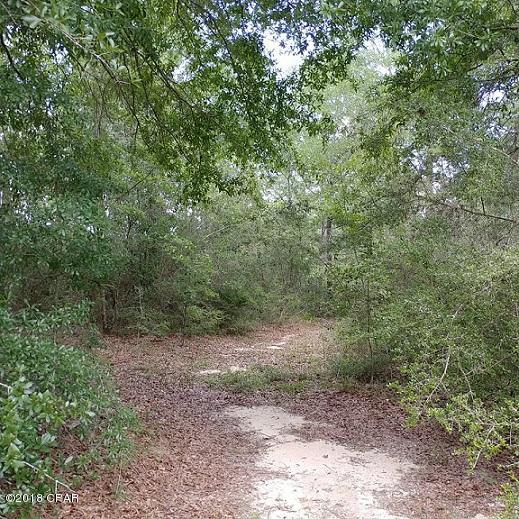 0 John White Road DeFuniak Springs, FL 32435 - Photo 7 of 11 Gallery Image 7
