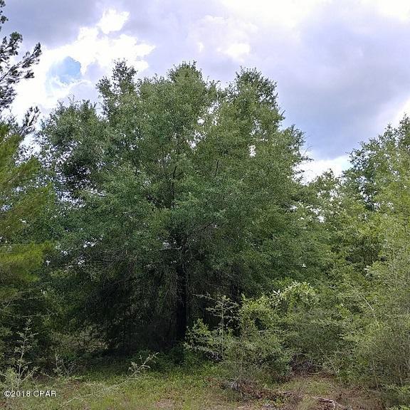 0 John White Road DeFuniak Springs, FL 32435 - Photo 8 of 11 Gallery Image 8