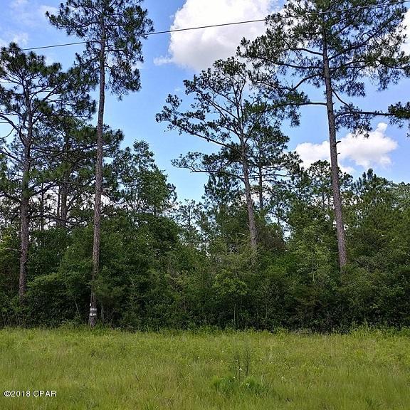 0 John White Road DeFuniak Springs, FL 32435 - Photo 10 of 11 Gallery Image 10