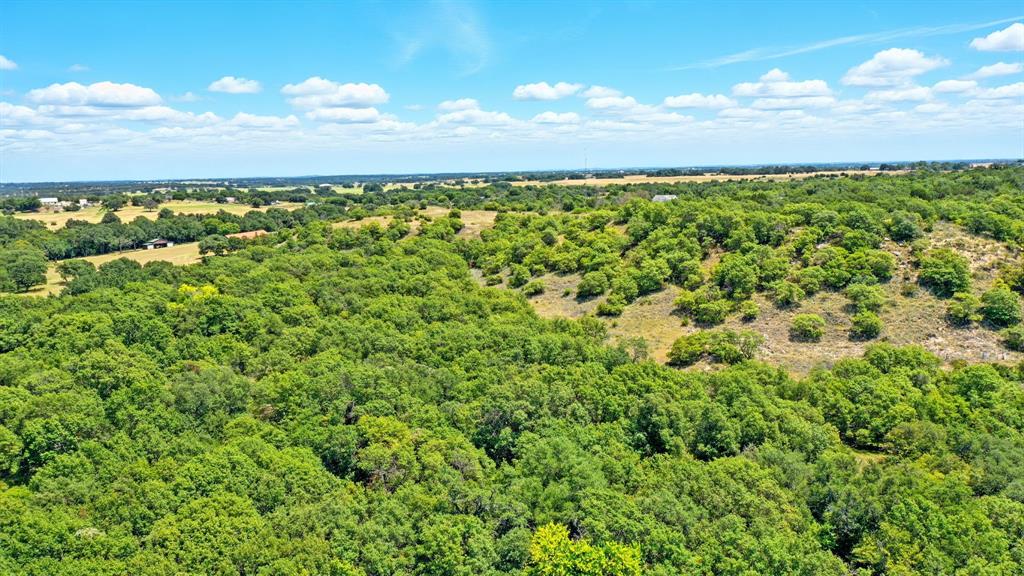395 Pepper Lane Weatherford, TX 76088 - Photo 5 of 24 Aerial view of a forest