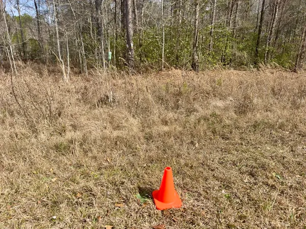 $1,800,000 | 0 Highway 6 Pinopolis Sc 29469, Moncks Corner, SC 29461