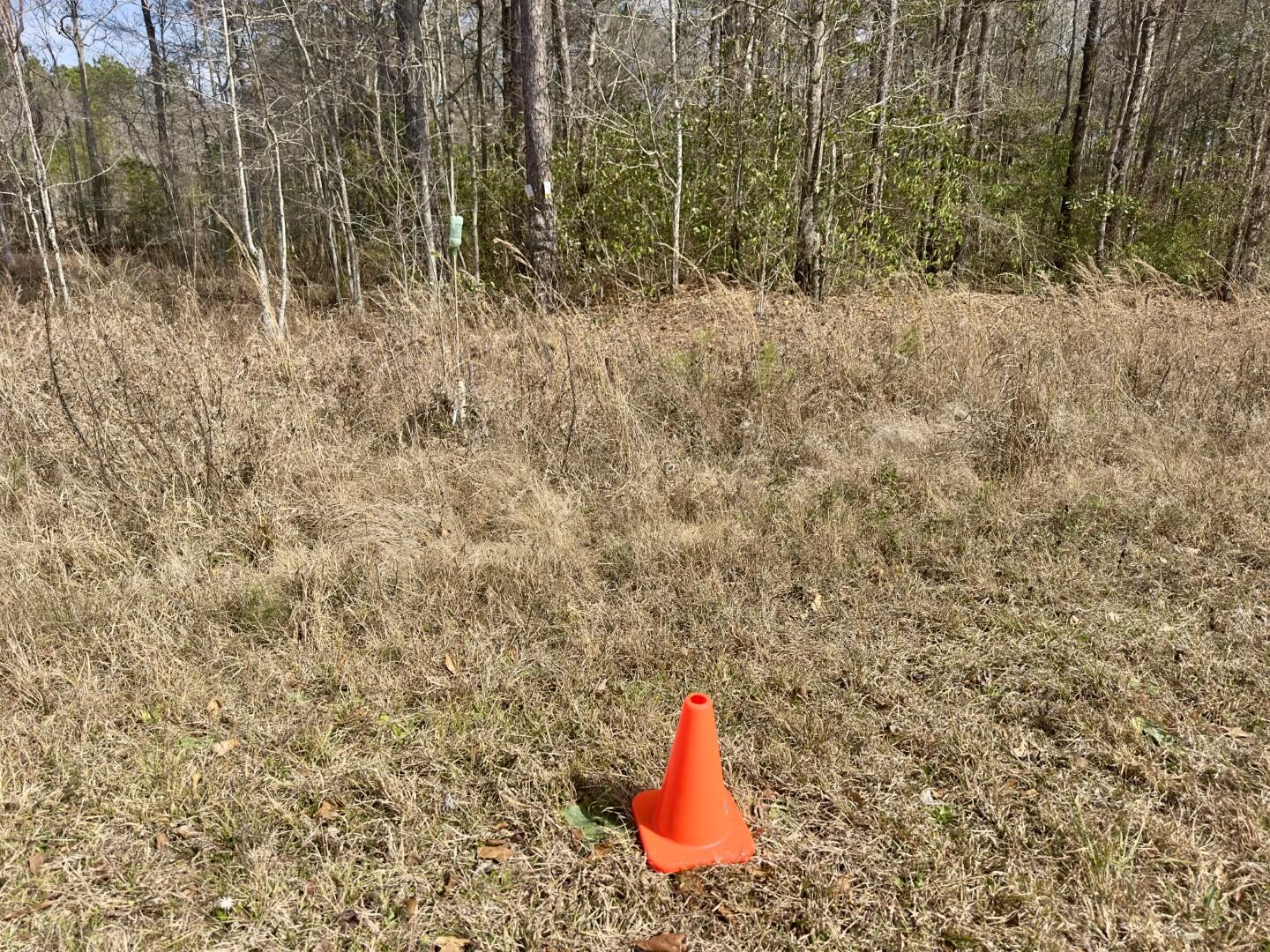 0 Highway 6 Pinopolis Sc 29469 Moncks Corner, SC 29461 - Photo 13 of 23 ground photos (3)