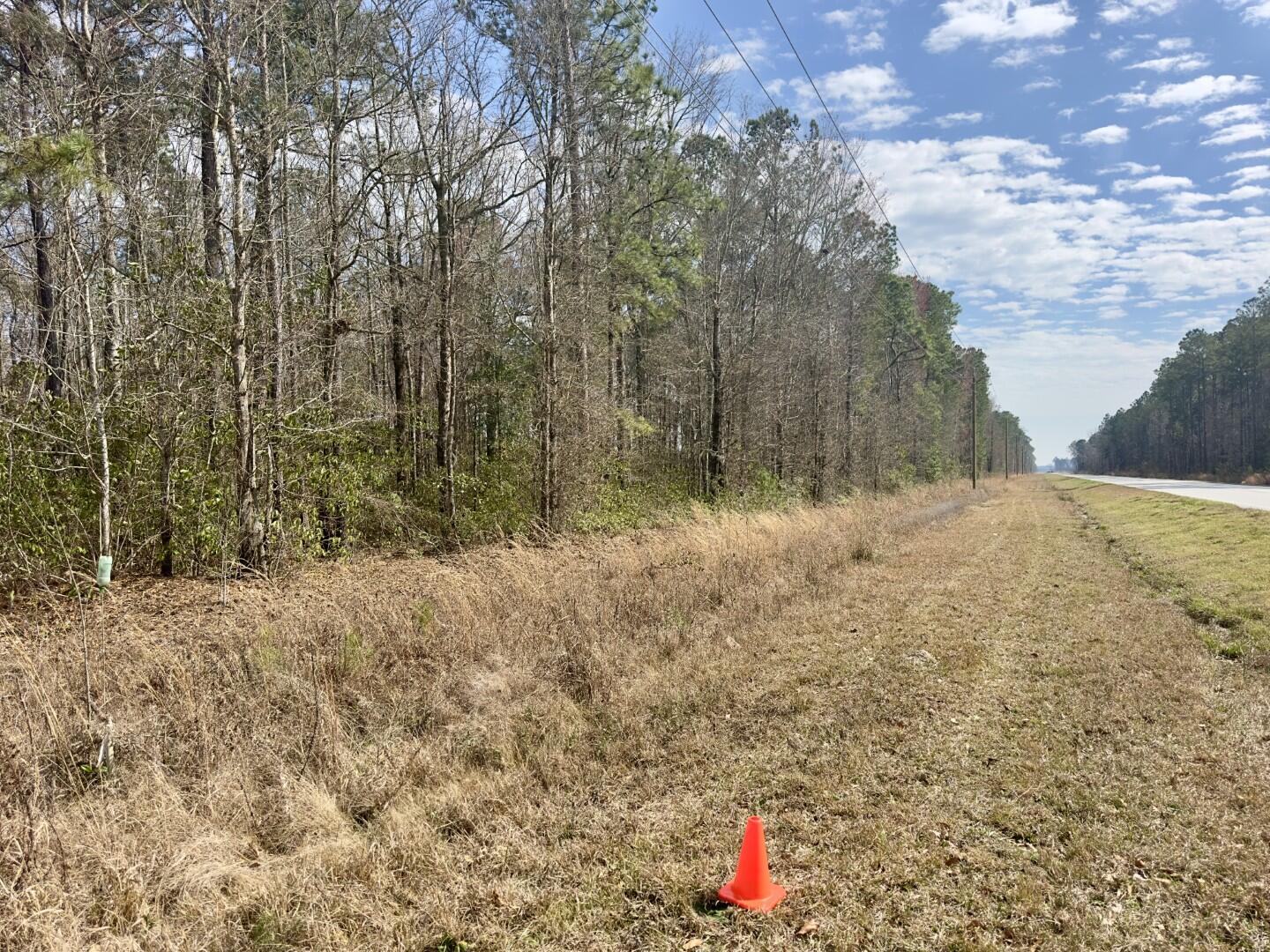 0 Highway 6 Pinopolis Sc 29469 Moncks Corner, SC 29461 - Photo 14 of 23 ground photos (4)