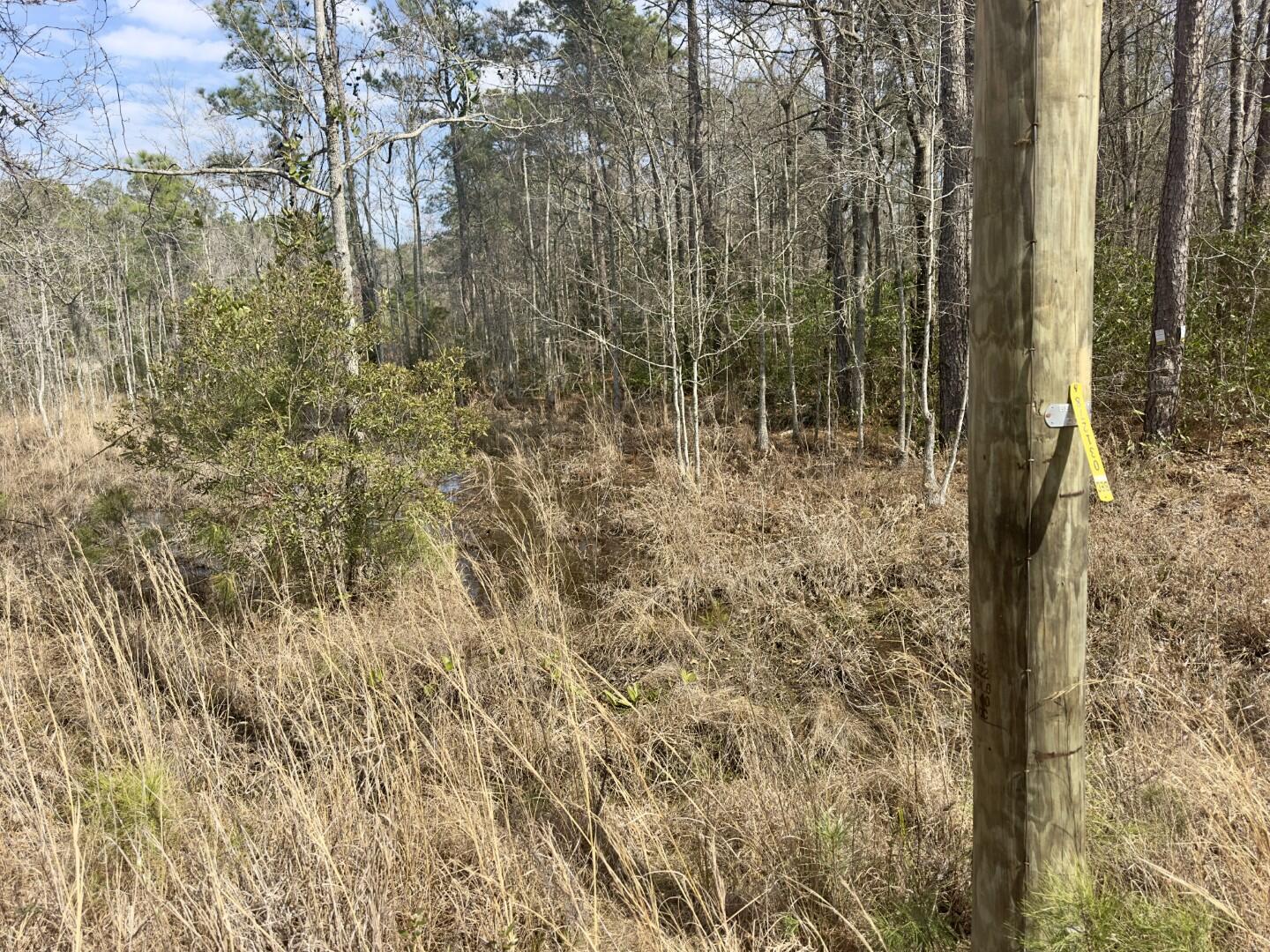 0 Highway 6 Pinopolis Sc 29469 Moncks Corner, SC 29461 - Photo 16 of 23 ground photos (6)