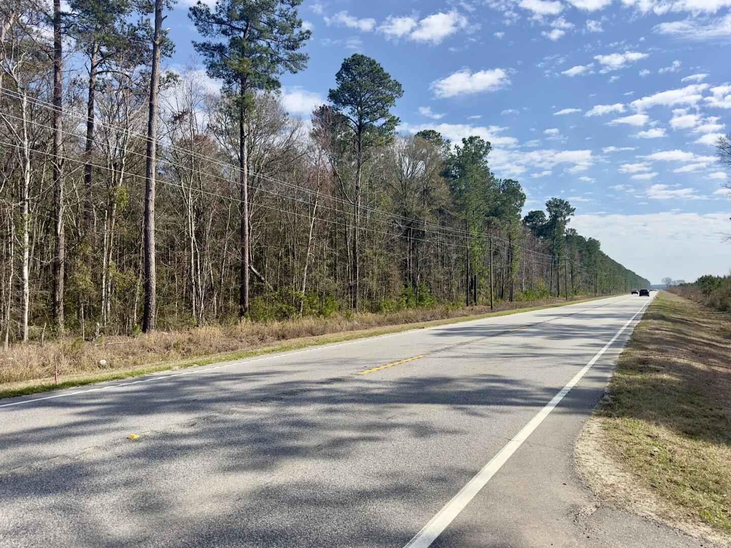 0 Highway 6 Pinopolis Sc 29469 Moncks Corner, SC 29461 - Photo 17 of 23 ground photos (7)