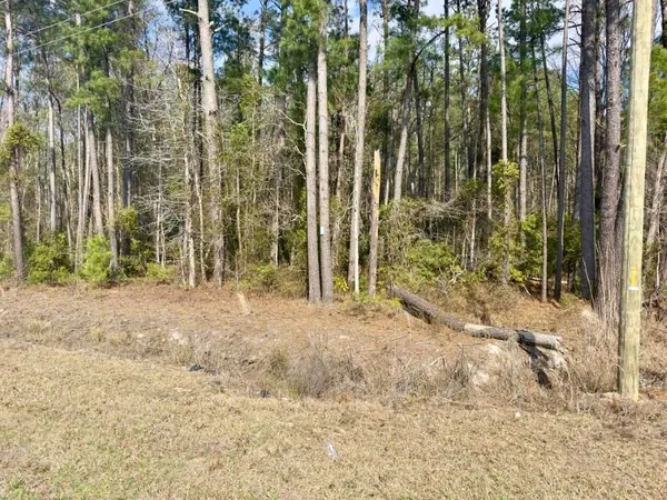 $1,800,000 | 0 Highway 6 Pinopolis Sc 29469, Moncks Corner, SC 29461