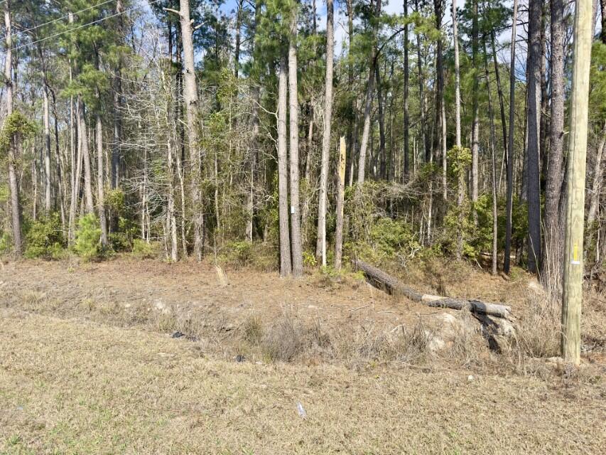 0 Highway 6 Pinopolis Sc 29469 Moncks Corner, SC 29461 - Photo 19 of 23 ground photos (11)