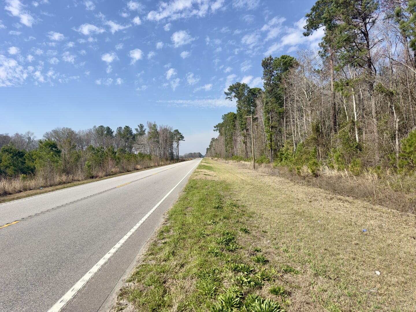 0 Highway 6 Pinopolis Sc 29469 Moncks Corner, SC 29461 - Photo 20 of 23 ground photos (12)