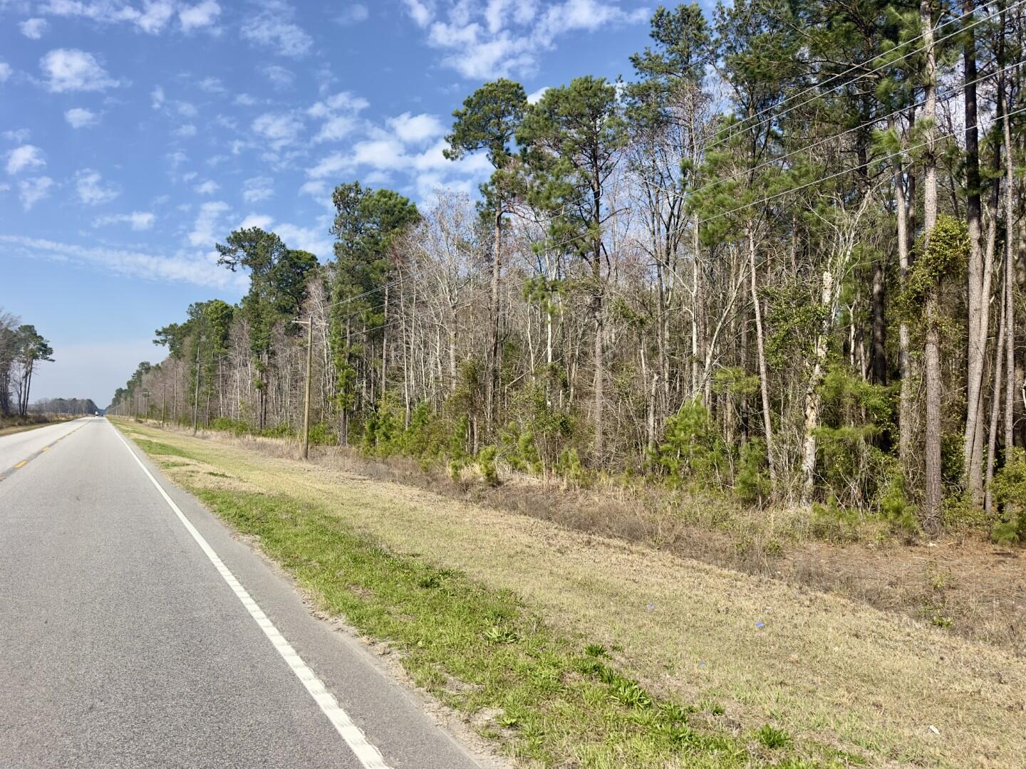 0 Highway 6 Pinopolis Sc 29469 Moncks Corner, SC 29461 - Photo 21 of 23 ground photos (13)